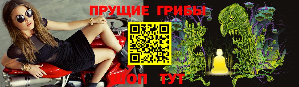 Урус-Мартан  Галлюциногенные грибы мухоморы  Вход с VPN 