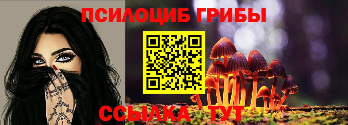 Галлюциногенные грибы MAGIC MUSHROOMS Урус-Мартан